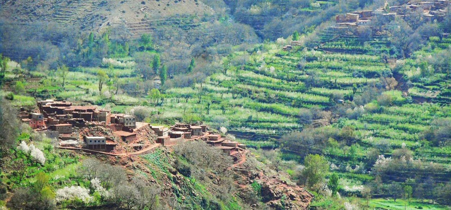 pueblos bereberes