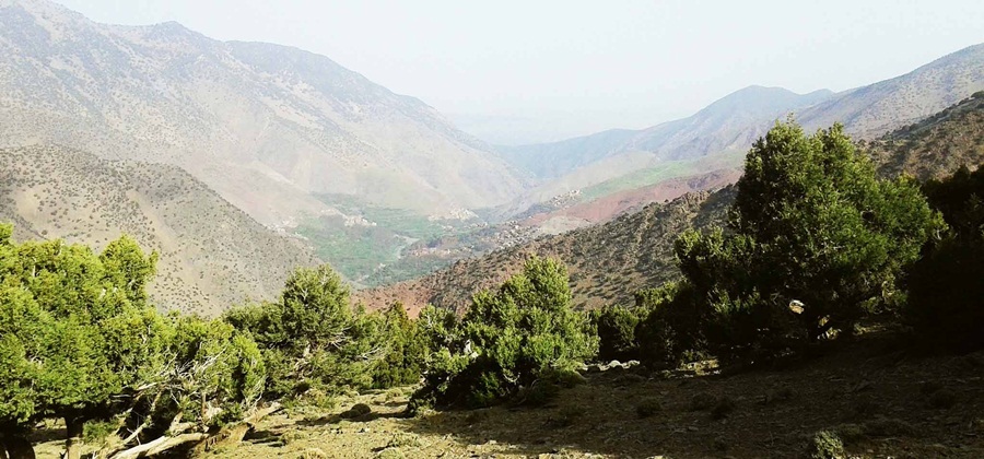 Atlas Valleys