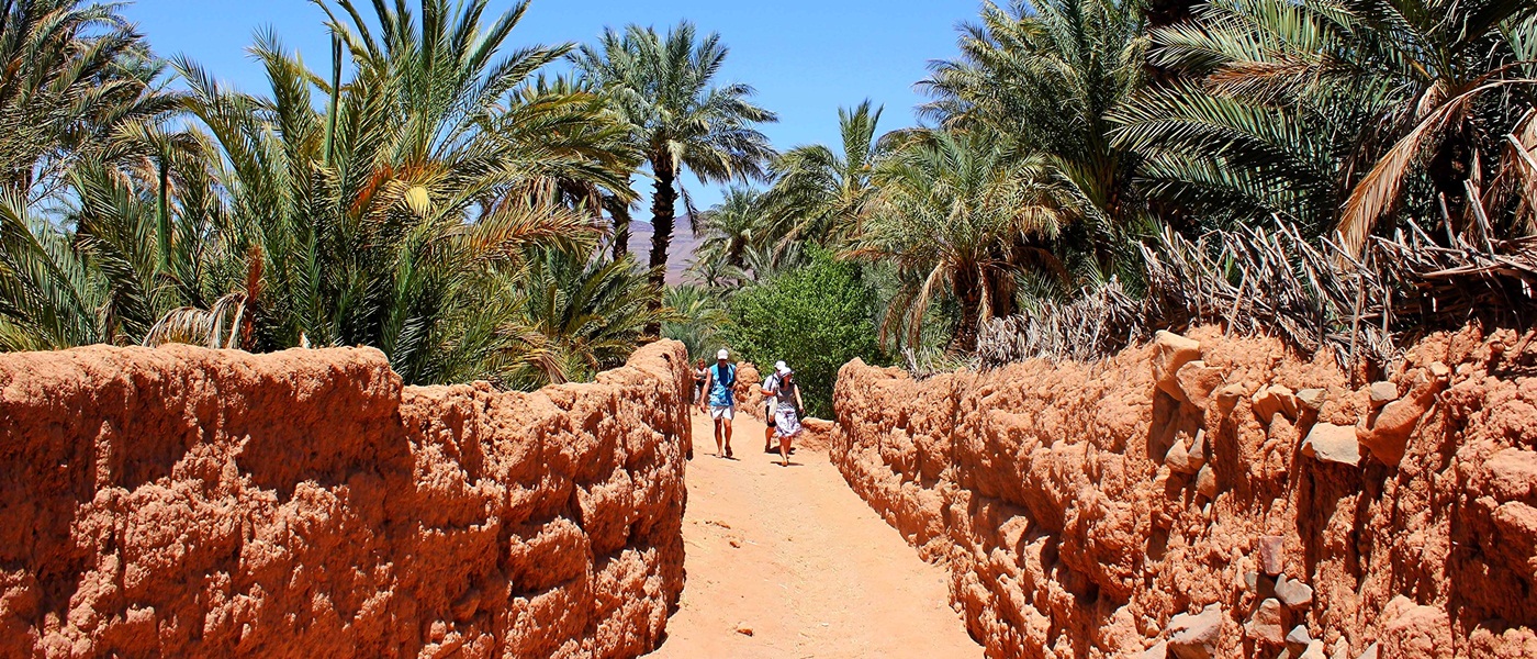 Paseo en camello por el valle del Draa