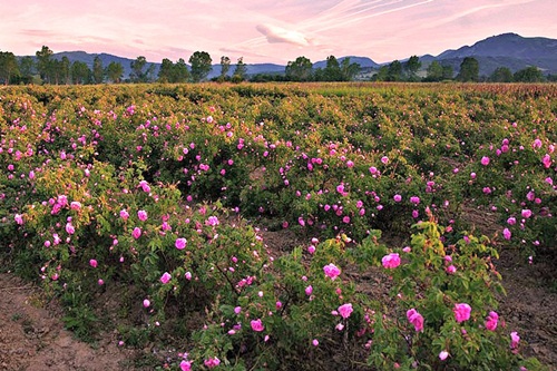 Trekking Valle de Roses